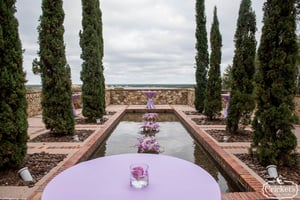 Reflection Pond  header-4
